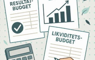 Budgettering Ludemann