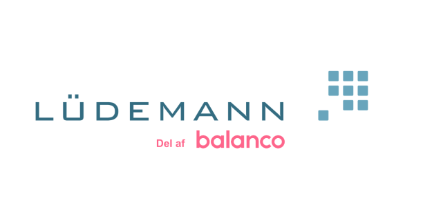 Lüdemann – Når økonomistyring er en tillidssag Logo